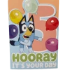 Treatsfromoz Bluey Greeting Card - 5th Birthday